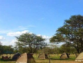 Safari Lodge manyara Tanzania